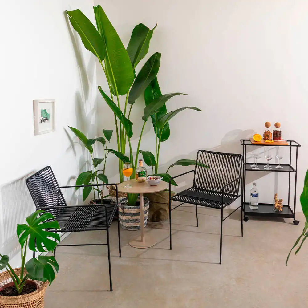 51BF2AF864216D7D164509EEA8DAE655_b4a797a5-810e-4662-8a28-9537a93a049b_2025_cadeira_spaguet_dai_mesa_pino_carrinho_bar