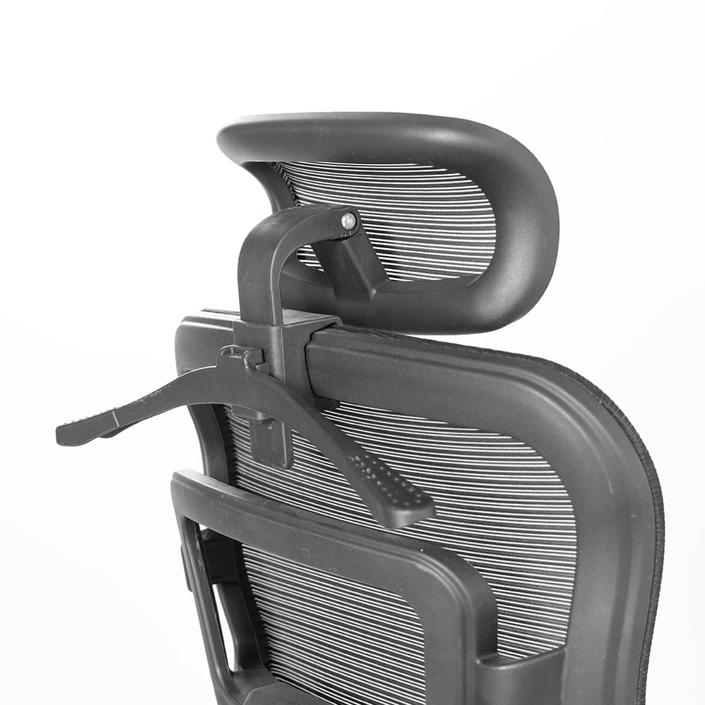 IMG_8663_HQ_1000x1000