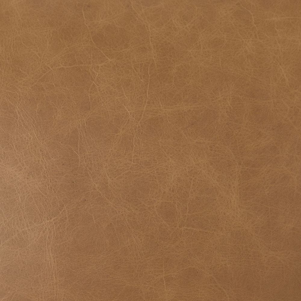 IMG_8816_HQ_1000x1000